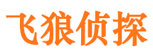 万安出轨调查